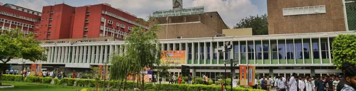 MBBS program in Delhi overview